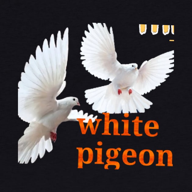 white pegeon by Dilhani